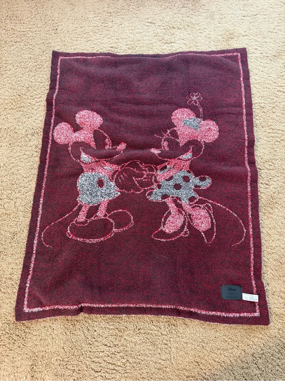 Disney Barefoot Dreams blanket